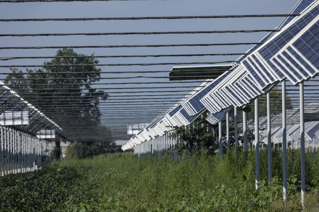 Energia: Pichetto firma decreto su agrivoltaico innovativo