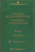 Immagine-copertina della pubblicazione 'Iconografia delle Orchidee d'Italia'