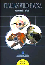 Immagine-copertina della pubblicazione 'Italian Wild Fauna Mammals, Birds'