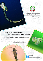 Immagine-copertina della pubblicazione 'Guida al Riconoscimento del Plancton dei Mari Italiani, Volume II - Zooplancton Neritico - Tavole