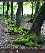 Immagine-copertina della pubblicazione 'I boschi dell’Umbria'