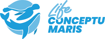 Logo LIFE Conceptu maris