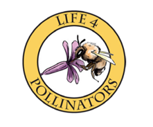 LIFE 4 Pollinators