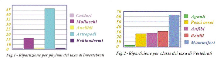 Figura 1 e Figura 2-immagine con due grafici: a sinistra la figura 1 con il titolo 'Ripartizione per phylum dei taxa di Invertebrati'; a destra la figura 2 con il titolo 'Ripartizione per classe dei taxa di Vertebrati'